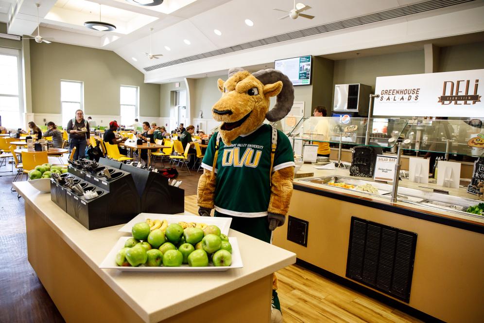 The mascot in the dining hall looking at green apples.