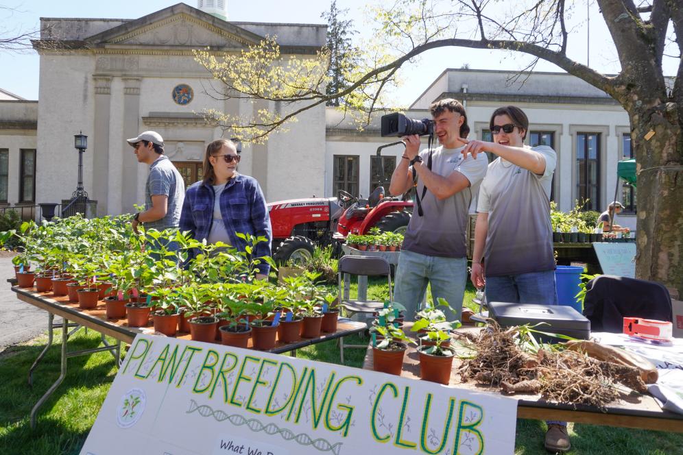 Students are selling plants in front of the library. 
