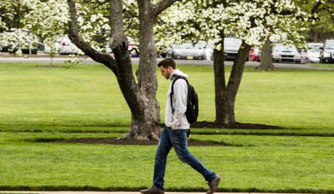 Male student walking across campus with white and pink flowering dogwood trees in background.