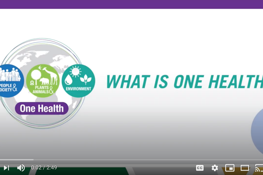 In this video by Michelle Glitzer '20, students, faculty and staff on campus explain what the term One Health means and, why this concept is so important for the future of our world.