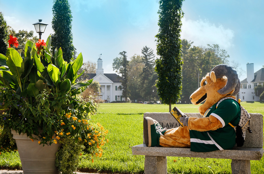 Caesar the mascot is reading a book on a bench on campus. 