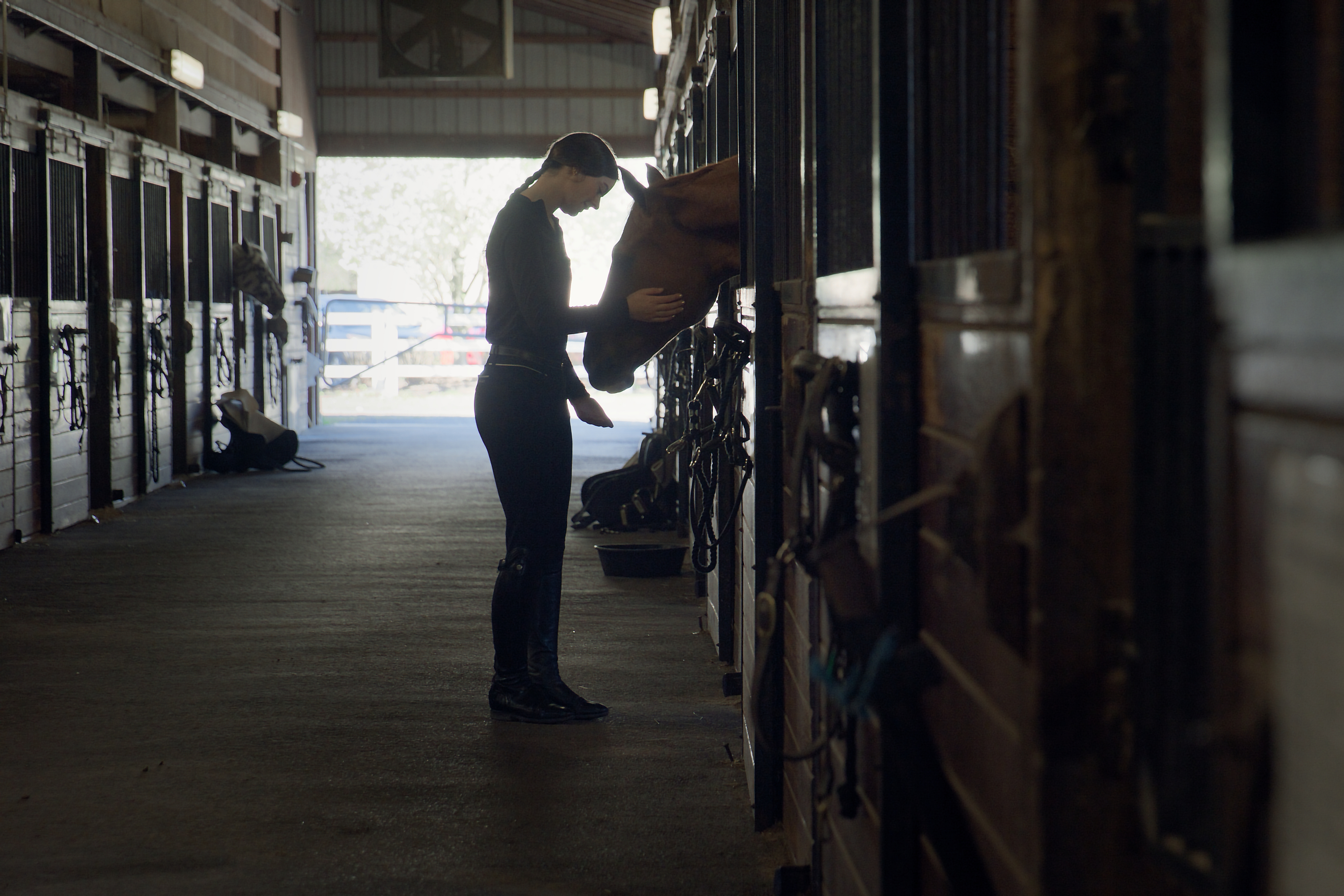 A female student is in the Equine Center petting a horse in who is in a stahl. 