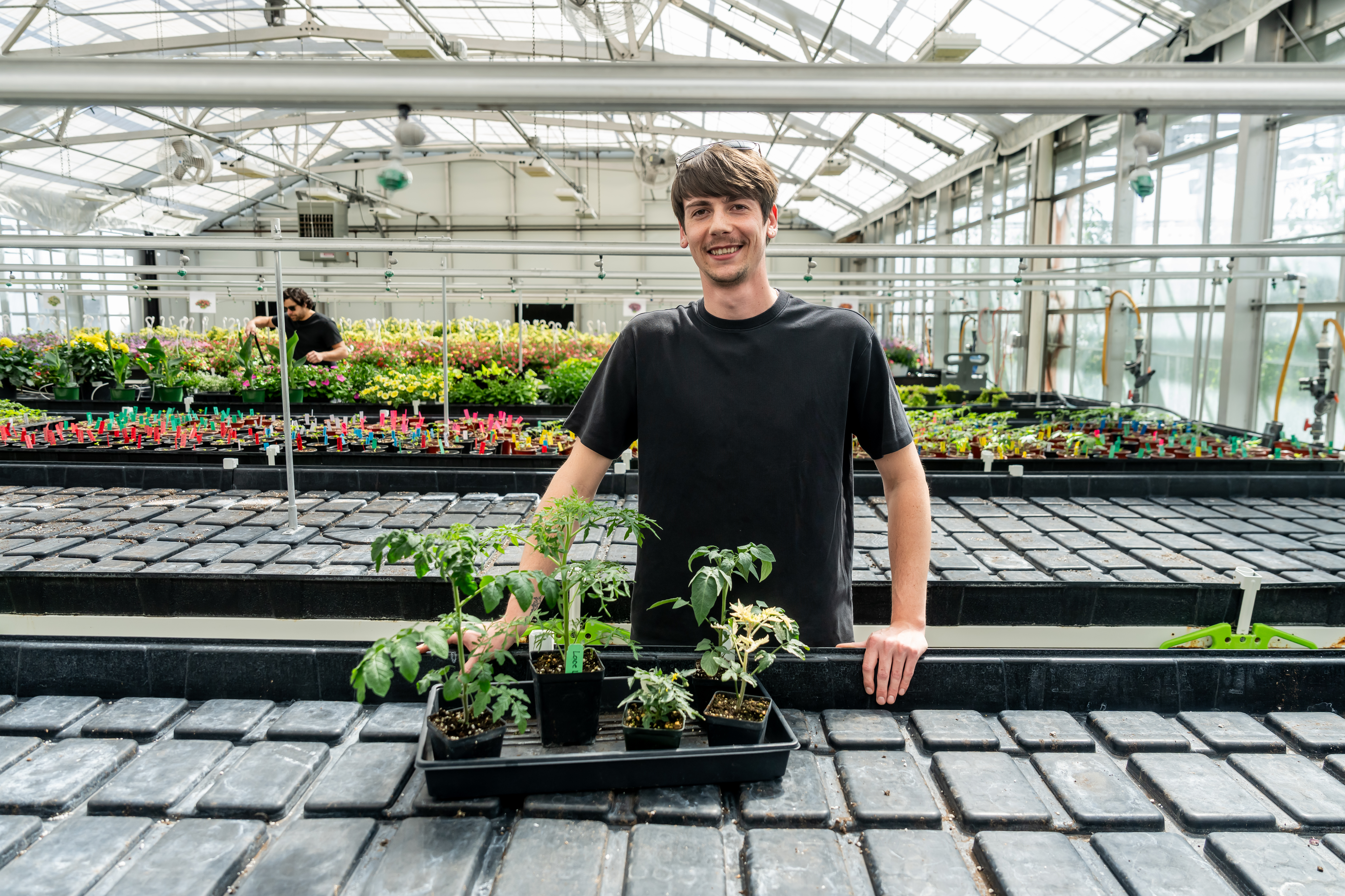 A student in the feldstein horticulture greenhouse lab. 