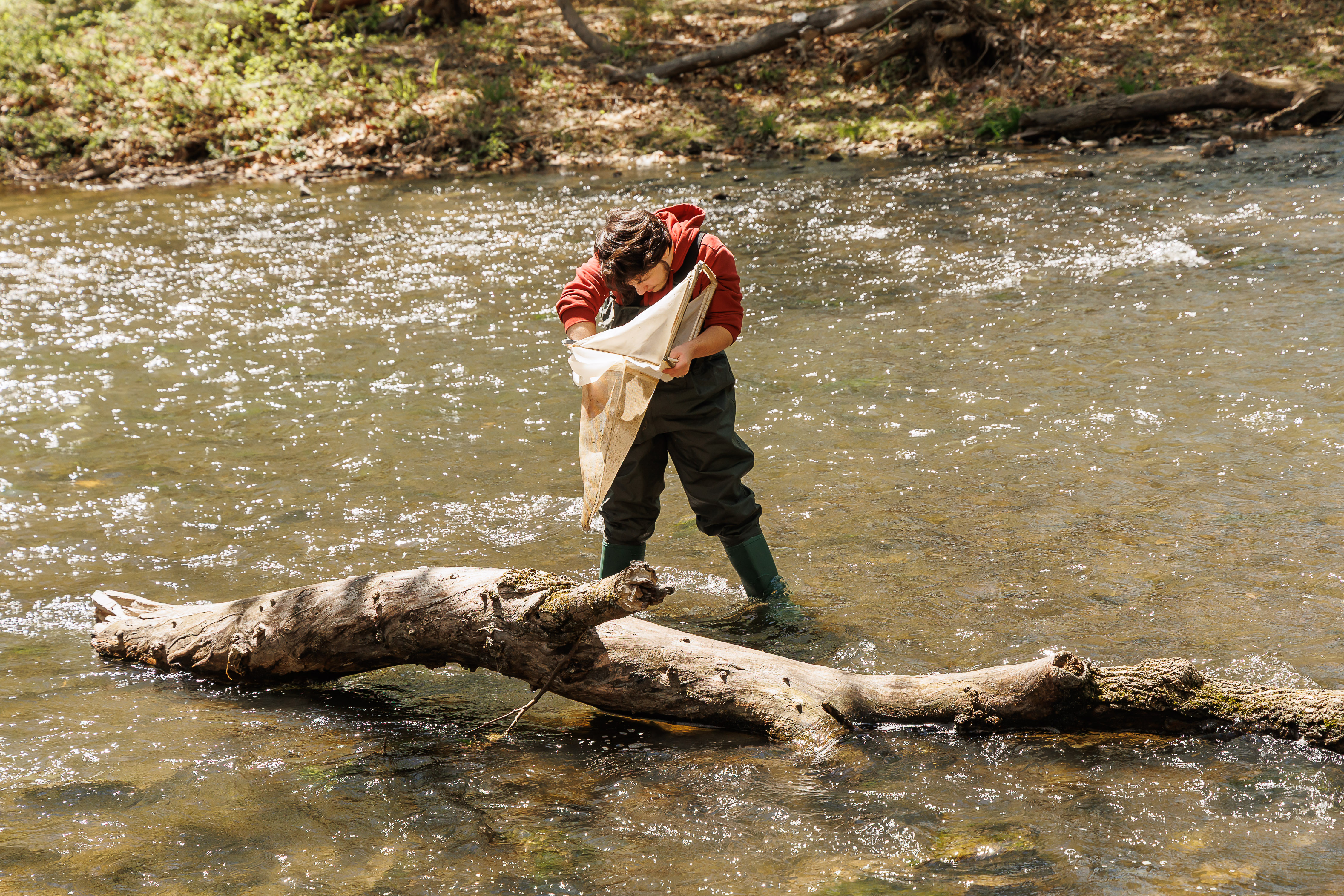 A student is standing in a river stream with a net. 