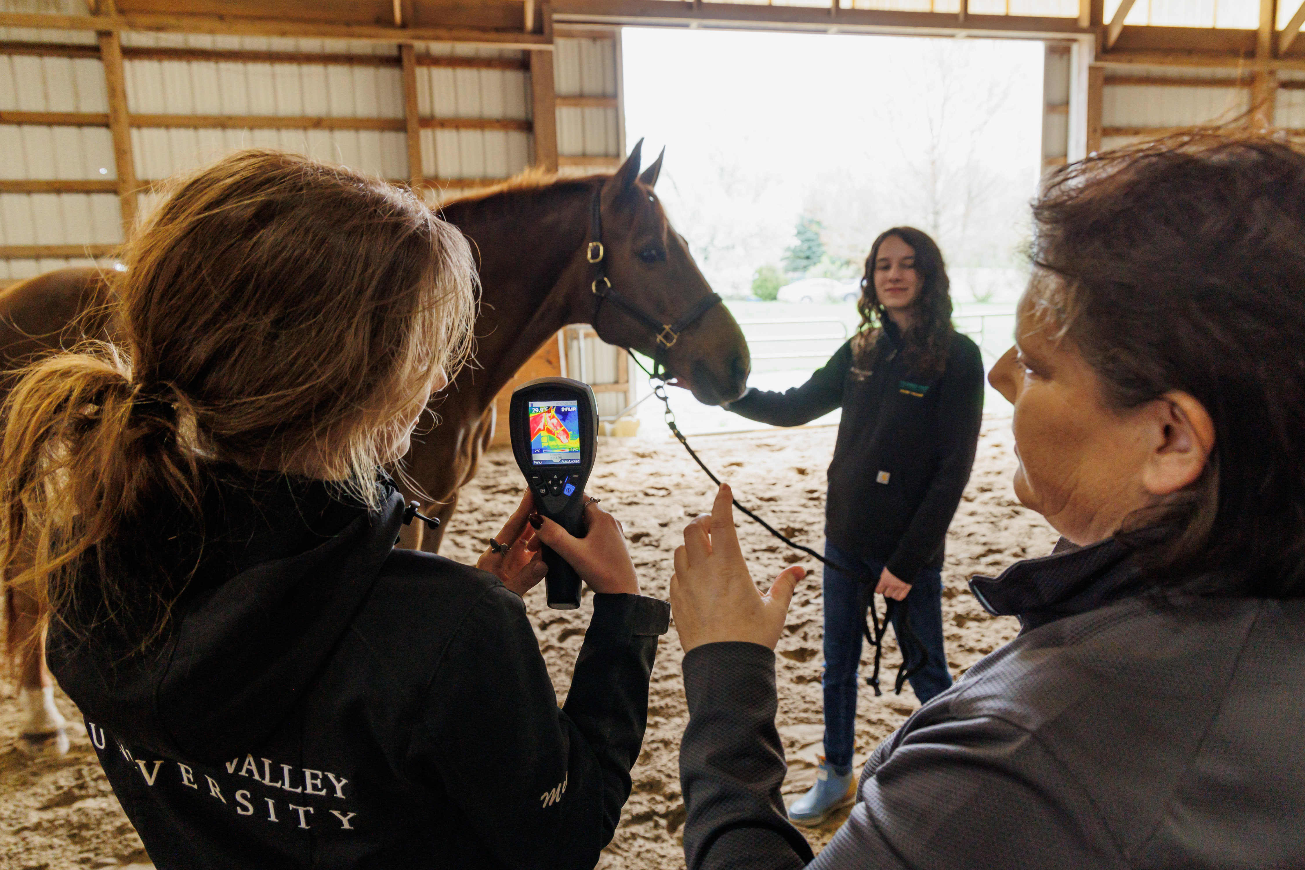 A student is using heat detecting equipment on a horse, while being instructed by a professor.