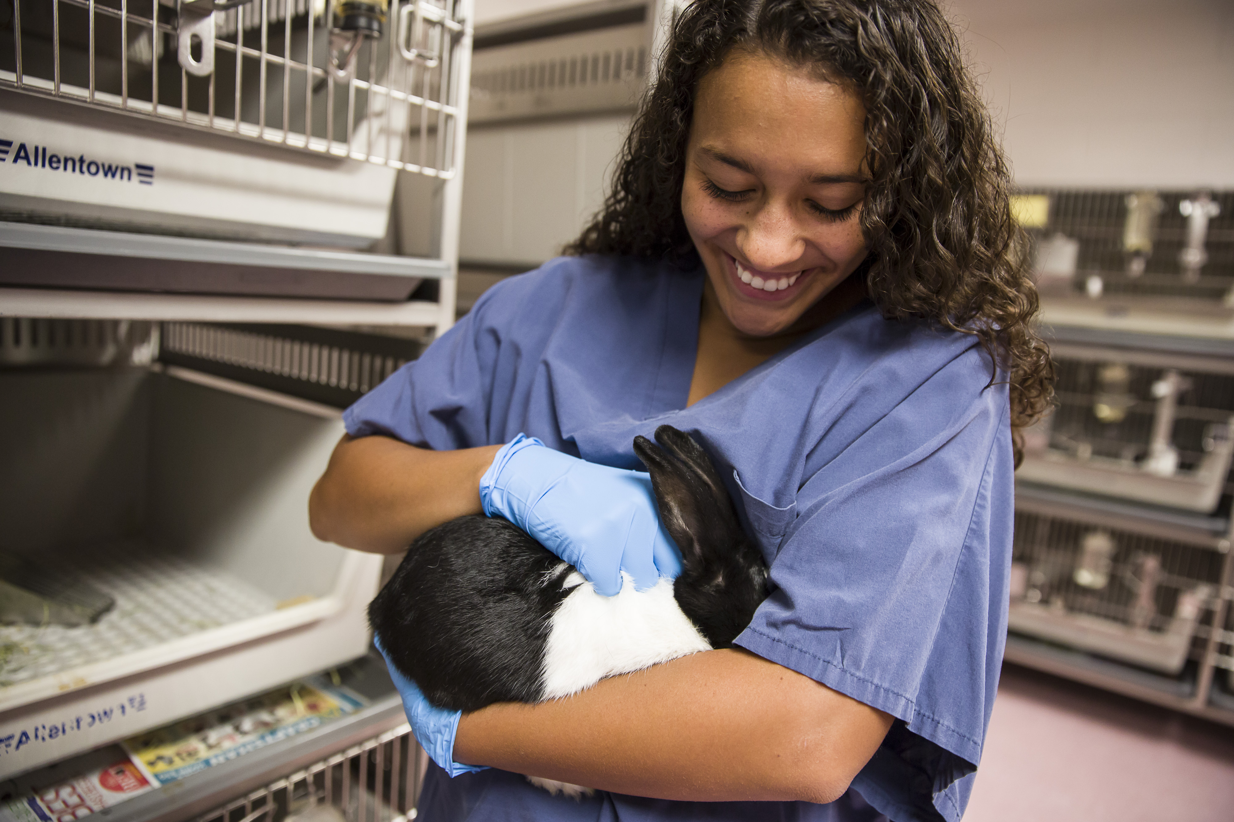 A student is handling a small rodent animal in her hands in the small animal lab. 