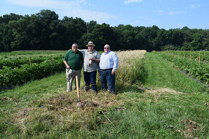 Representatives from Dad's Hat and Delaware Valley University in a rye field on campus