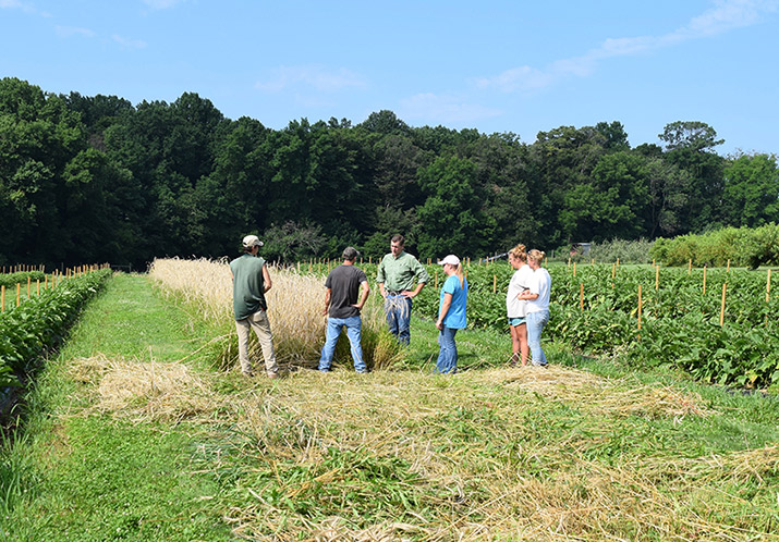 Scott Smith, Delaware Valley University Farm Manager, instructing students at the harvest