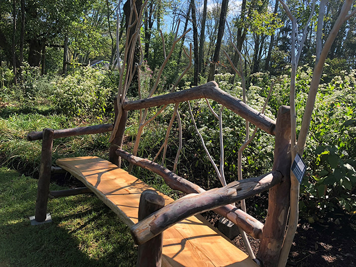 A rustic bench.