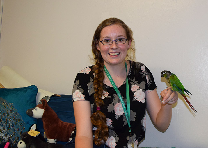 Paisley Ashland, a student, holds a green sheet conure.