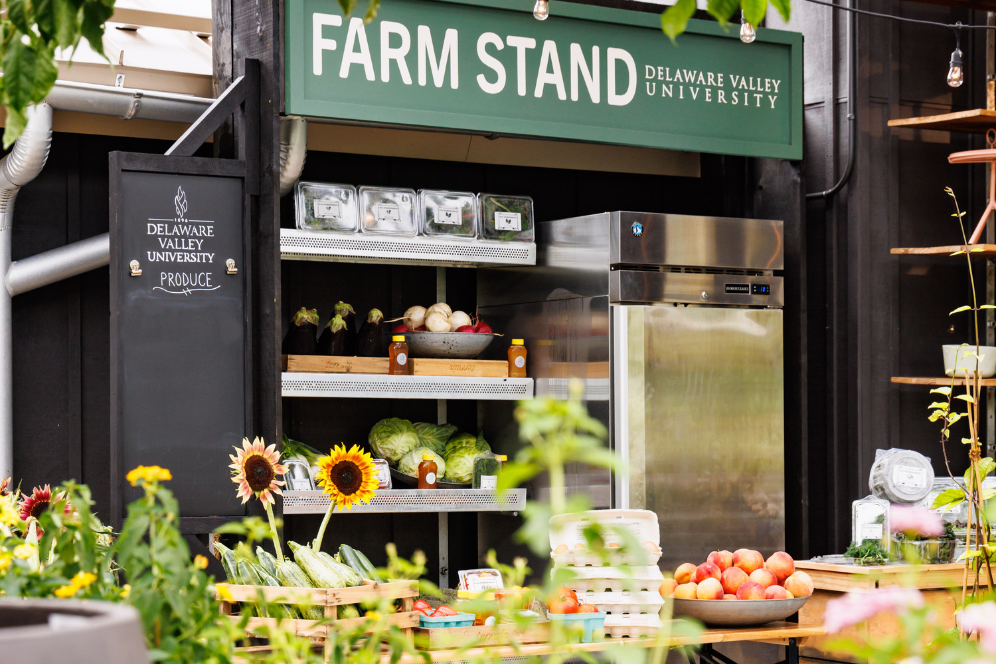 A photo of the farm stand with fruits and vegetables arranged on the table in front of a farmstand at Delaware Valley University sign.