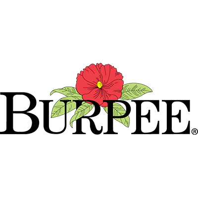 burpee logo