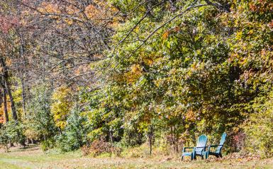 Two lawn chairs in a wooded field