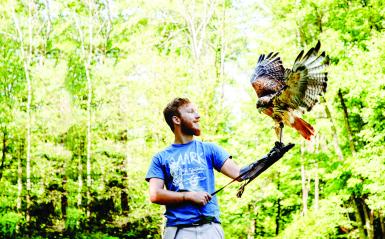 A experiential learning student holding a flapping hawk
