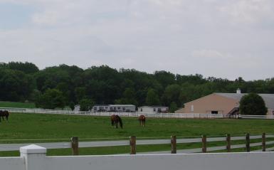 the equine center