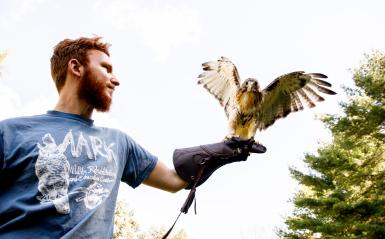 A wildlife student is holding a hawk with their wings spread. 