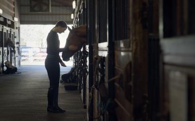 A student is working hands-on with a horse in the equine center.