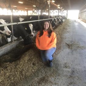 Delaware Valley University animal science alumna Cassandra Blickley in a barn with cows wearing an orange sweatshirt.