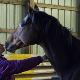 Melinda Copel interacts with a horse