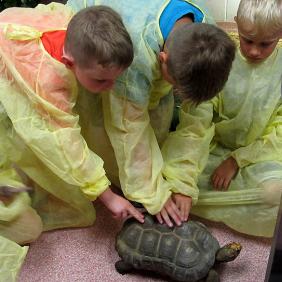 Children in scrubs touching a turtle.
