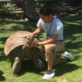 Kennymac Durante with a large tortoise