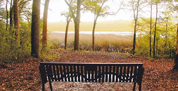 bench by the road project 