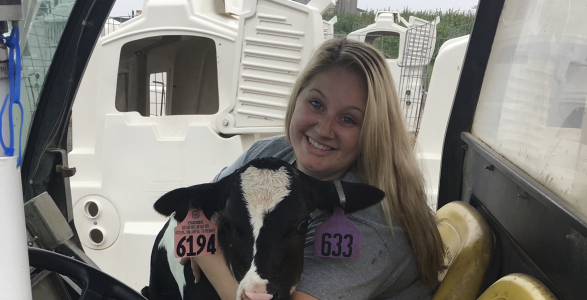 Alexandria is holding a baby cow in a truck. 