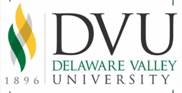 DVU Logo