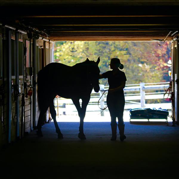 A horse and rider in silhouette in a barn.