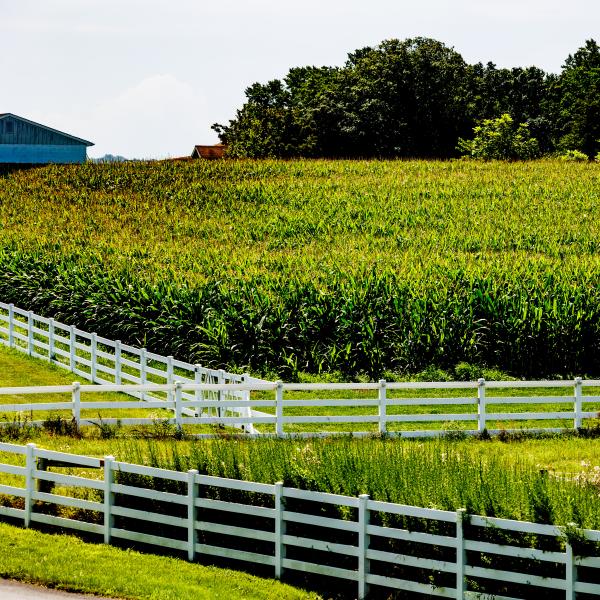 A field of crops protected by white fencing on DelVal's south campus.