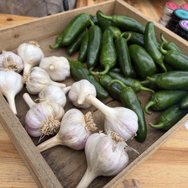Produce in a basket at the farm stand at Terrain. 
