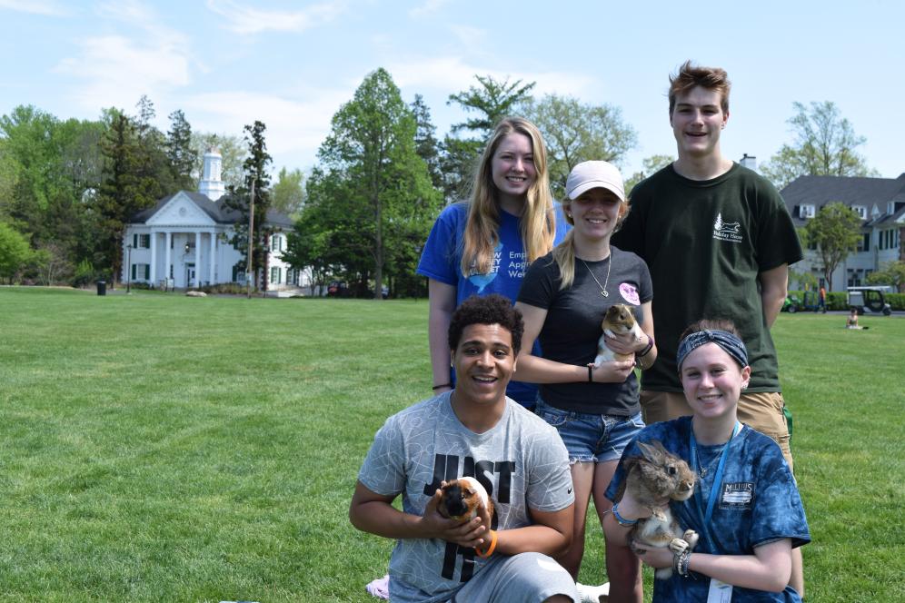 A group on the quad with an assortment of pets.