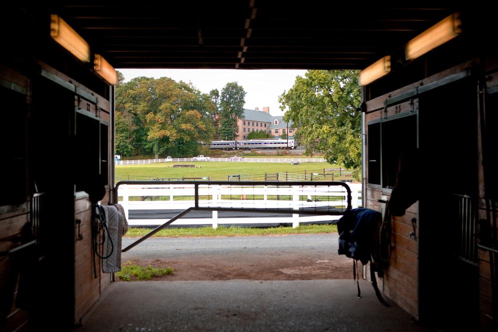 Stable at Equine Facilities