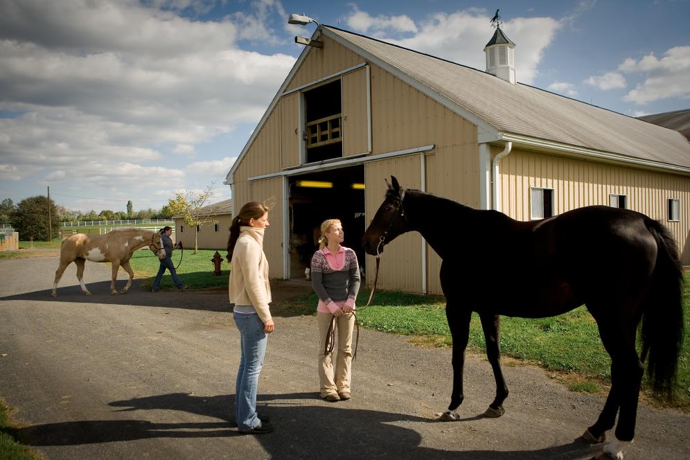 Stable at Equine Facilities