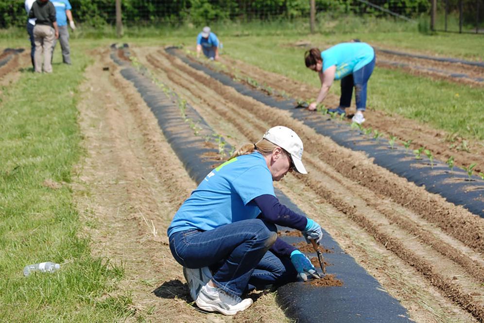 Roth Center for Sustainable Agriculture
