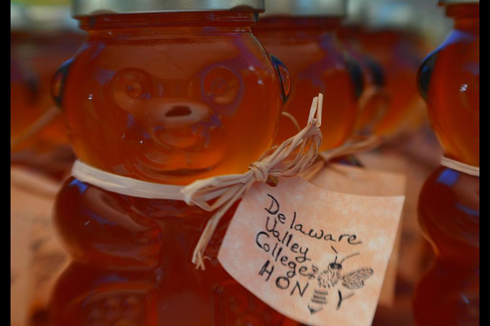 Bottles of honey