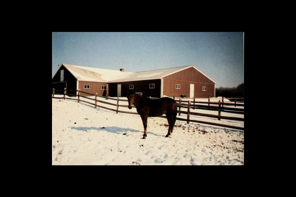 Equine center 1988