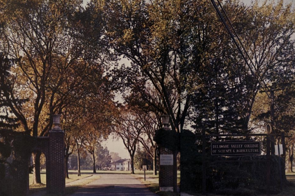 Front gate 1963