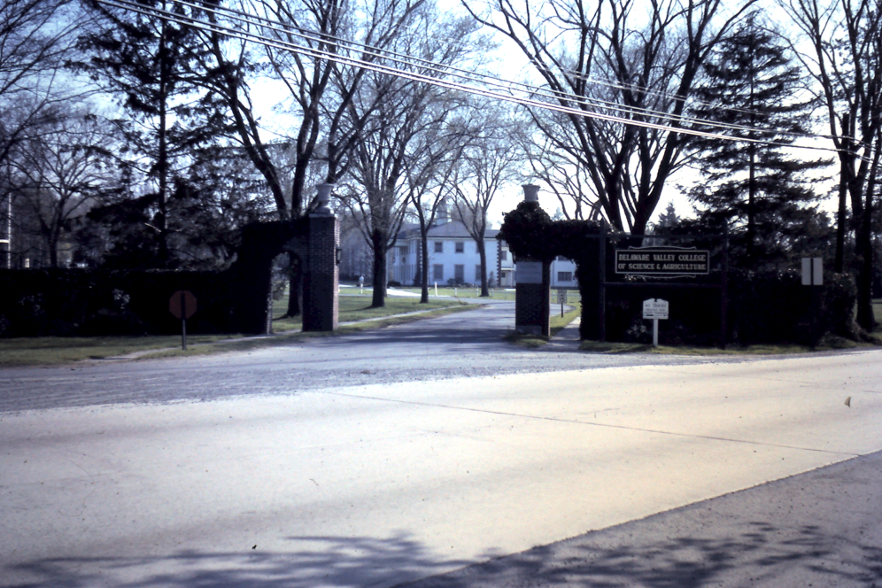 Main Gate to DVC 1967