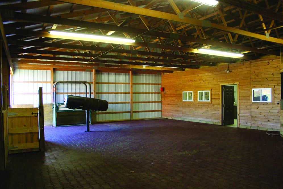 animal husbandry in the barn