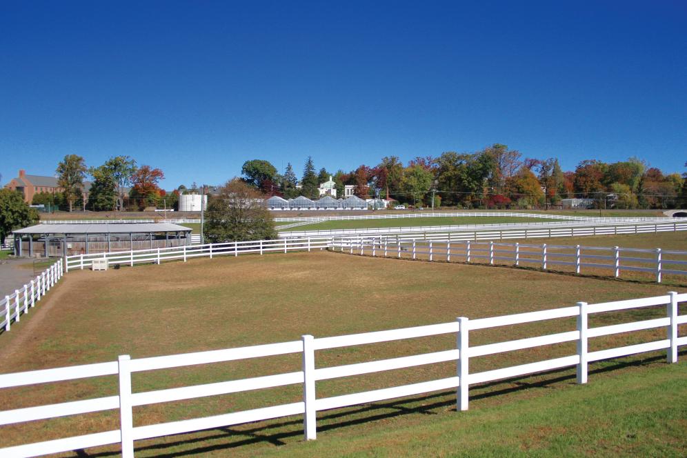 Equine horse field fenced in