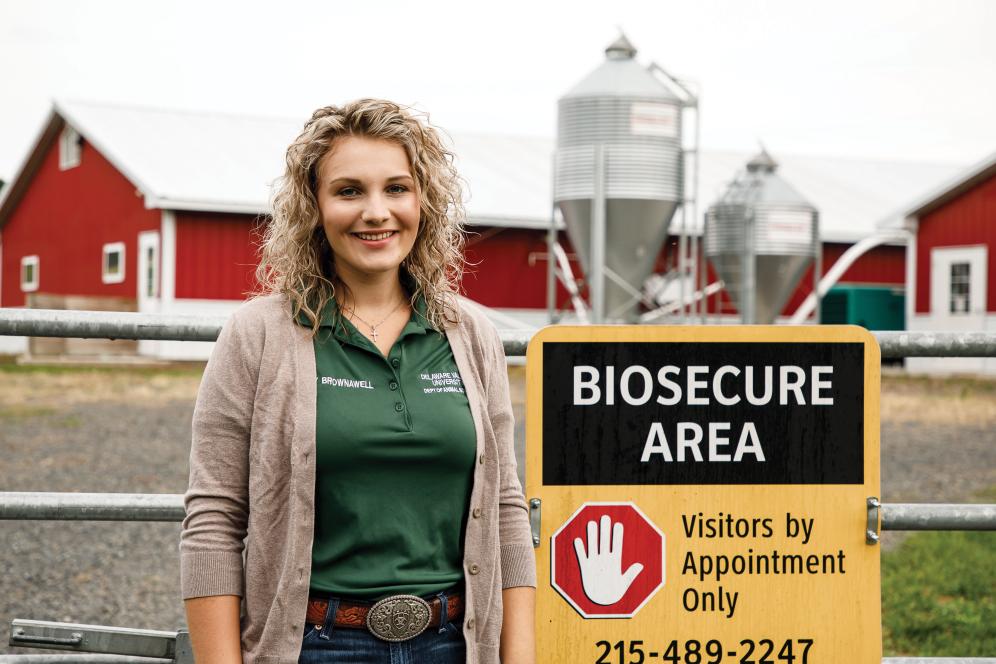 swine center