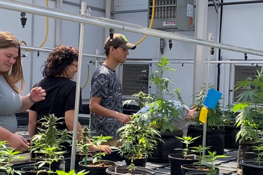 Research Assistants Danielle Bowman and Michael Rosengrant and interns Katie Stewart and James Morgenland - Summer 2022