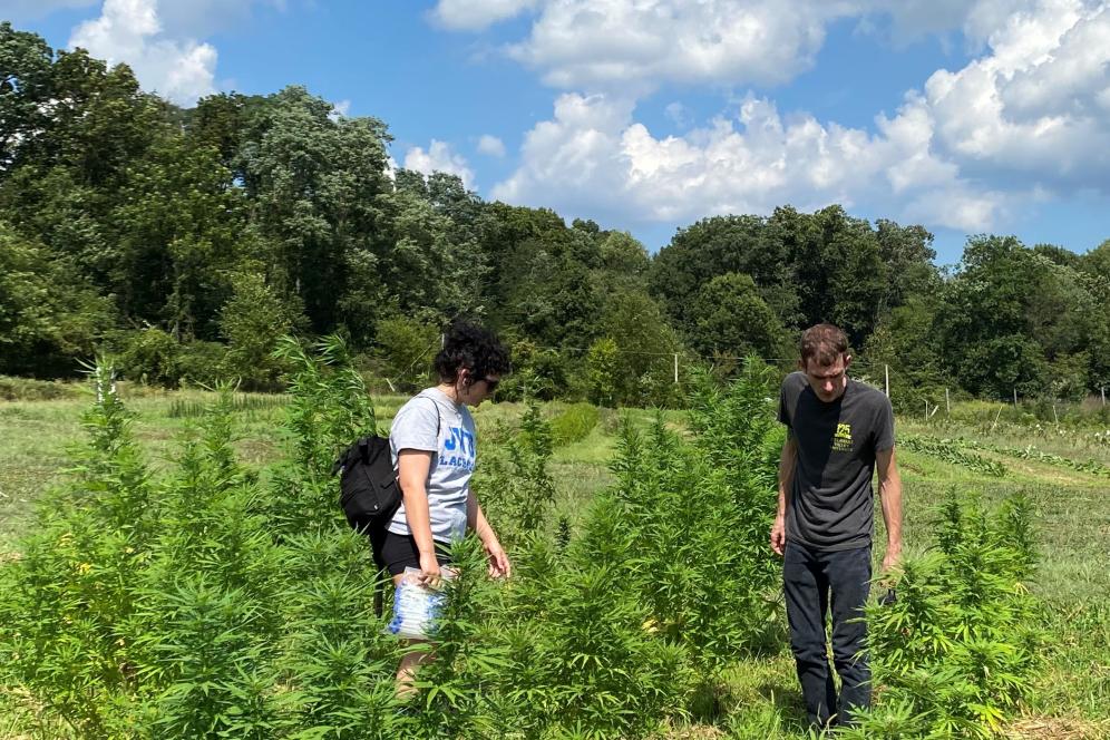 Students working in the field. 