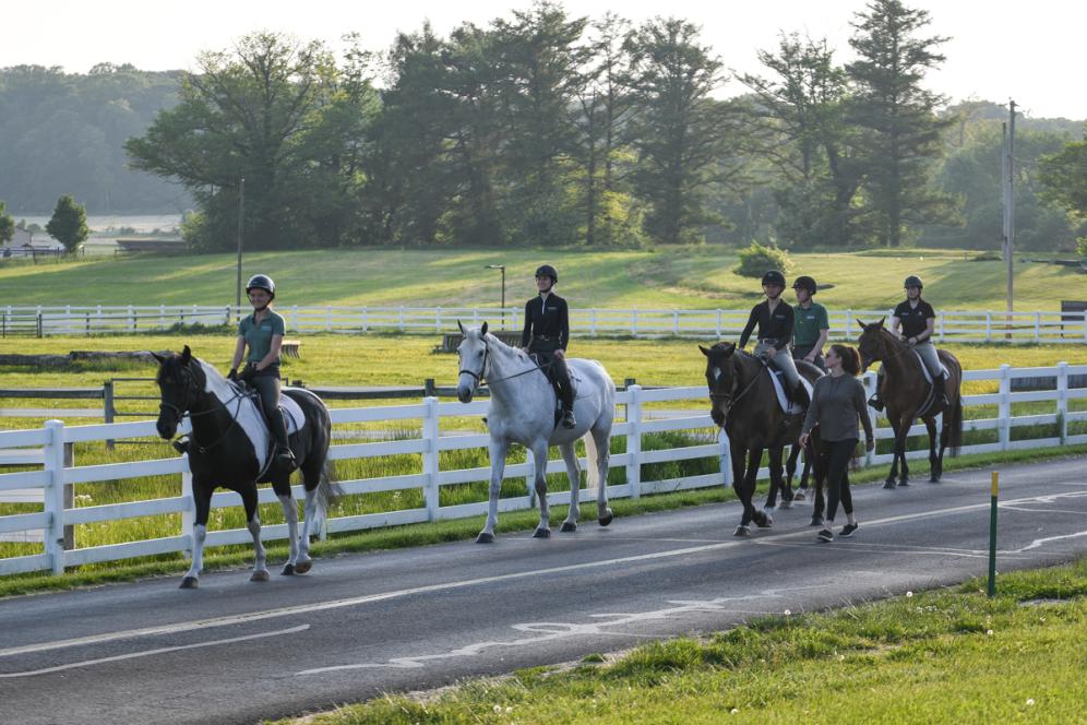 Several tudents are riding horses by road at the Equine Center. 