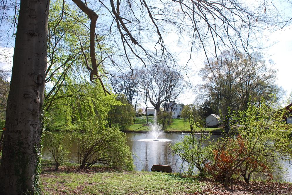 A photo of Lake Archer on campus in the spring time. 