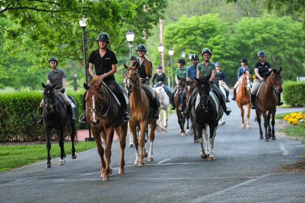 DelVal Equine