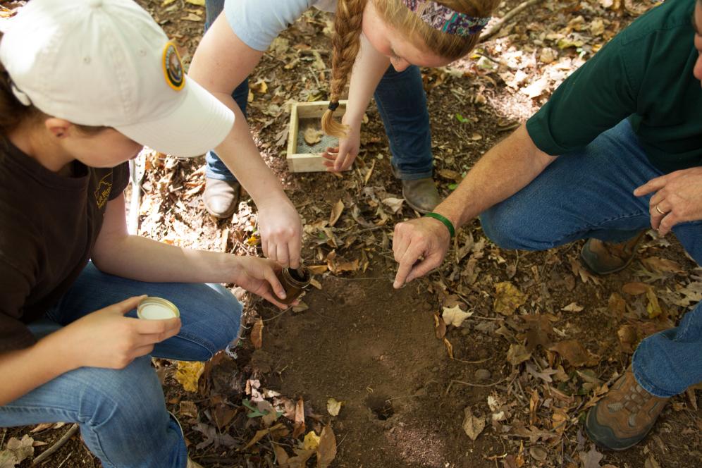 Conservation and wildlife