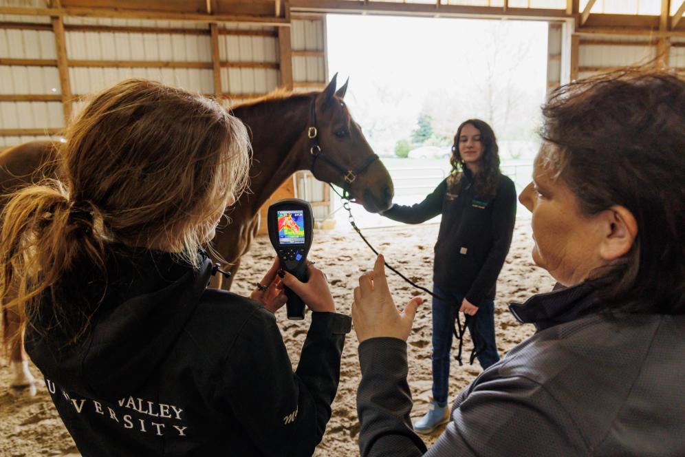 Rebecca is working with two students in the equestrian center. One student is guiding a horse and the other is holding a thermal censor pointed at the horse.