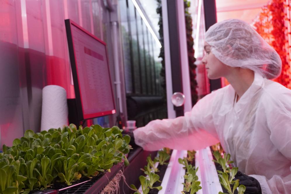 Students and faculty utilize an enclosed freight container to grow vegetables vertically through hydroponics, delivering the equivalent of four acres of tillable farmland in one container.